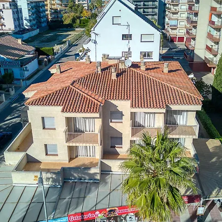 Mismar-6 By Interhome Roses