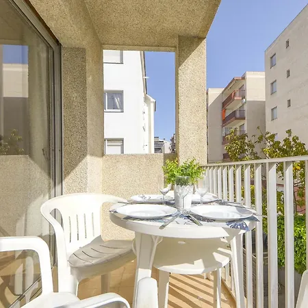 Mismar-6 By Interhome Roses
